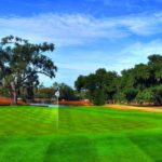 Are You a Swinger? Try North Mount Pleasant Golf
