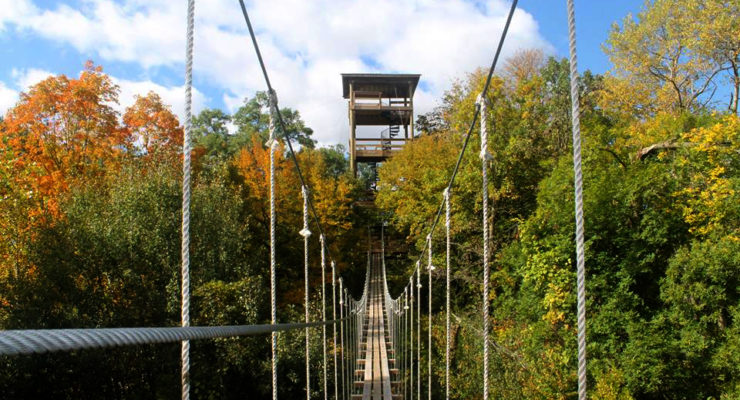 Zip Line Bridge