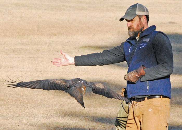 The Center for Birds of Prey