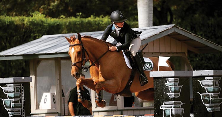 Equestrian Life in East Cooper: Horsing Around