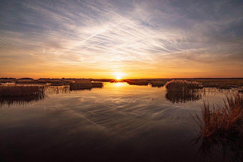 A photo at Santee Coastal Reserve Wildlife Management Area