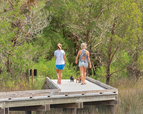 Palmetto Islands County Park